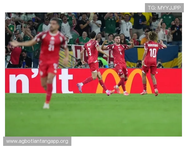 世界杯瑞典对阵突尼斯小组赛全场战况分析与精彩瞬间回顾 世界杯瑞典对阵突尼斯小组赛全场战况分析与精彩瞬间回顾